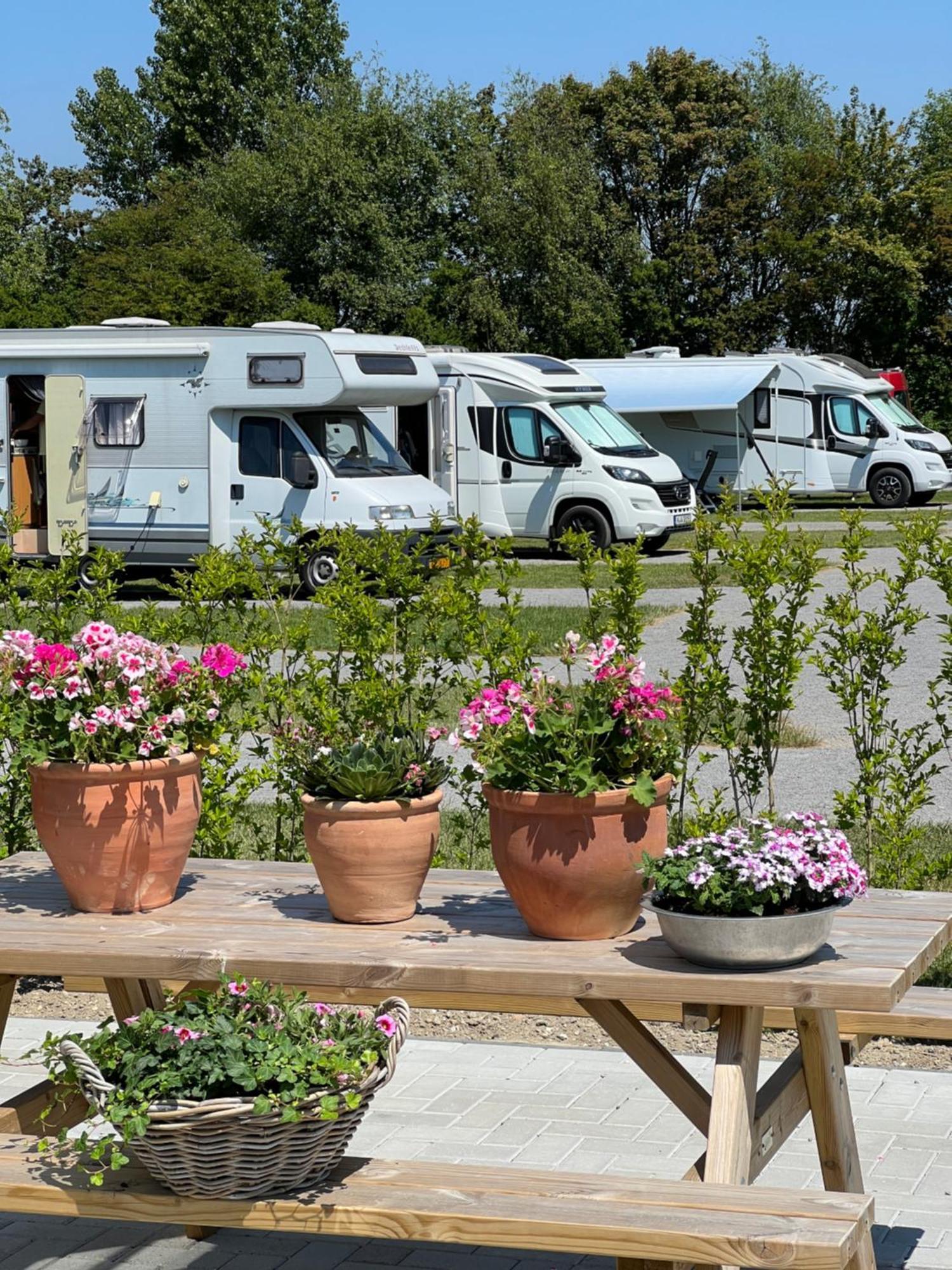 B&B Prive Tiny House Bij Zee Stellendam Eksteriør bilde